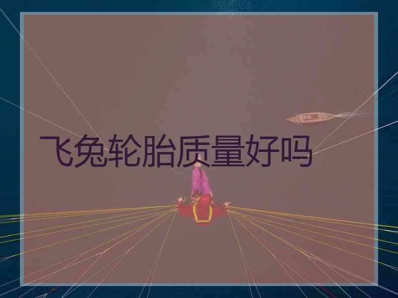 飞兔轮胎质量好吗