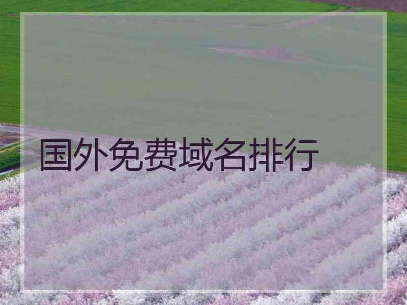 国外免费域名排行