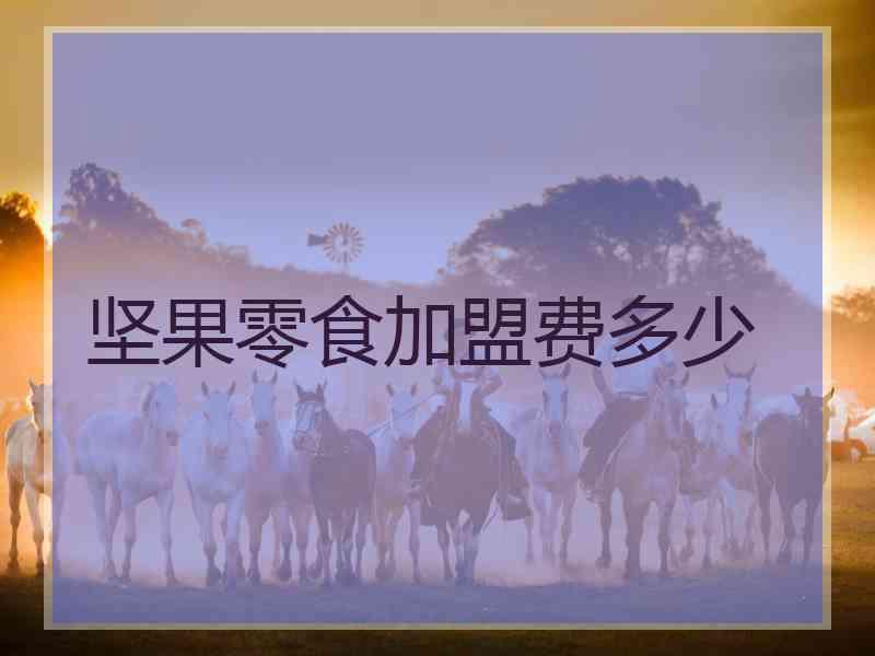 坚果零食加盟费多少
