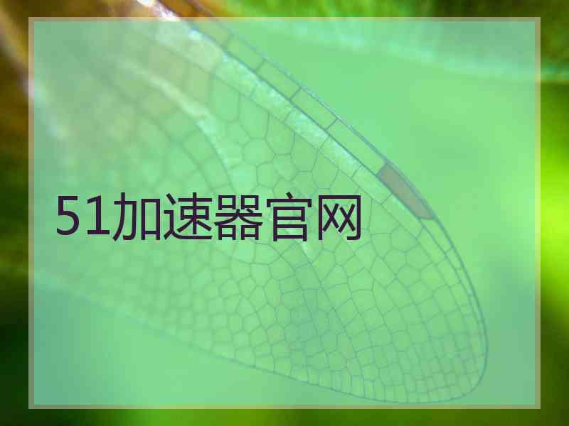 51加速器官网