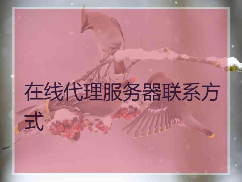在线代理服务器联系方式