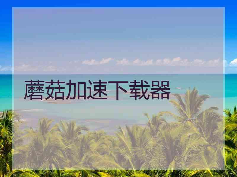 蘑菇加速下载器