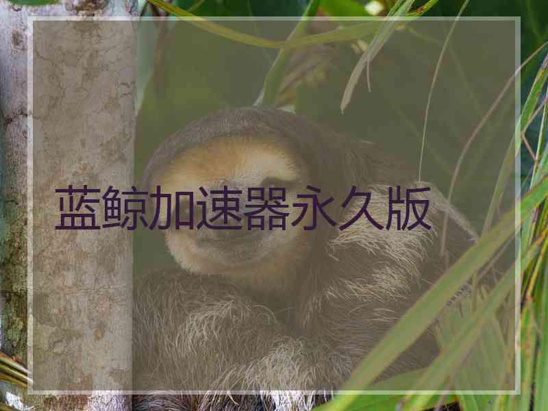 蓝鲸加速器永久版