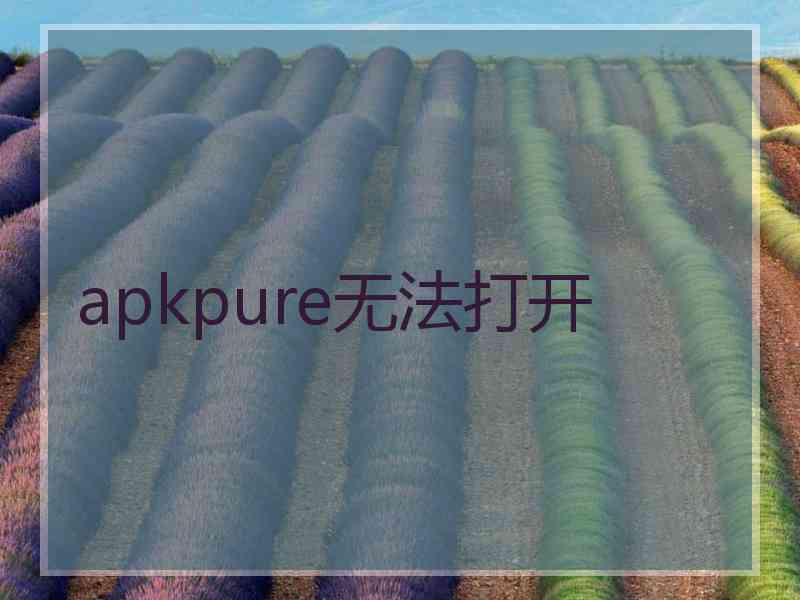 apkpure无法打开