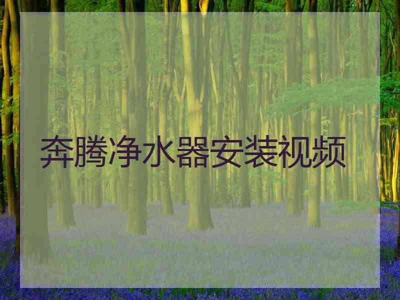 奔腾净水器安装视频