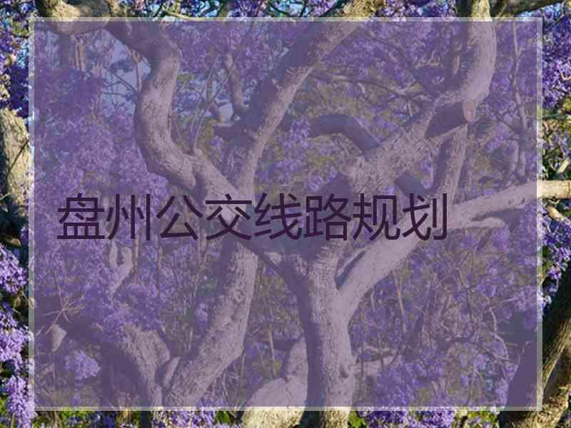 盘州公交线路规划