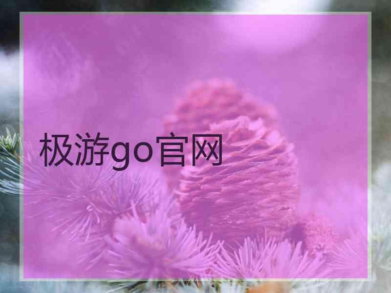 极游go官网
