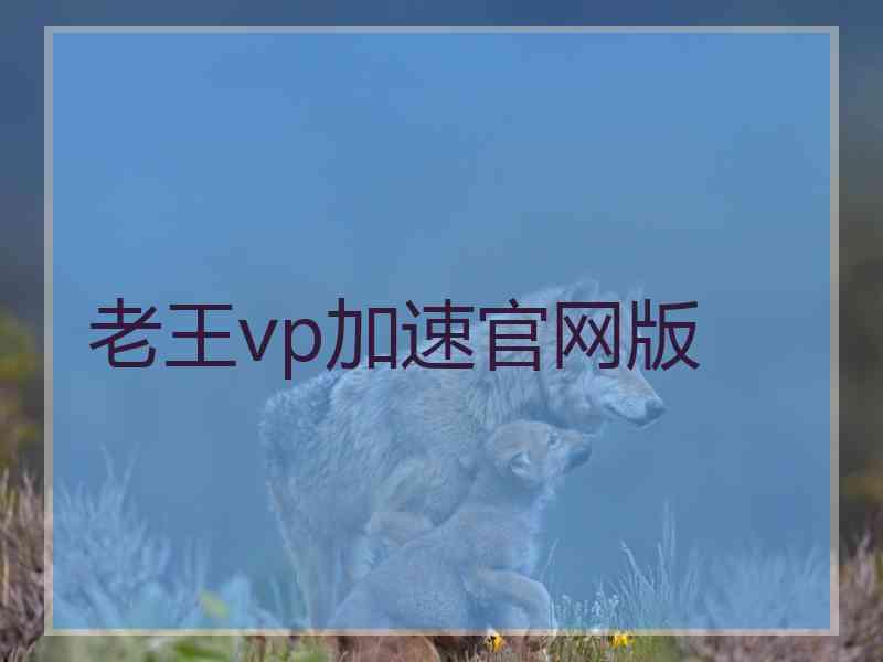 老王vp加速官网版