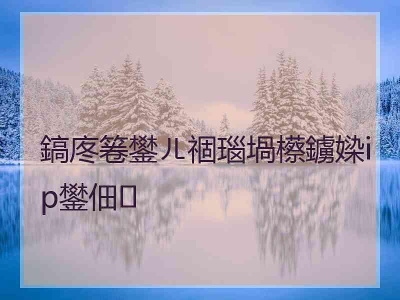 鎬庝箞鐢ㄦ祻瑙堝櫒鐪媣ip鐢佃