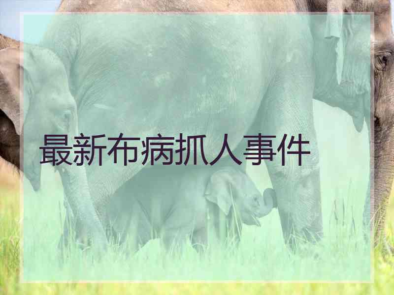 最新布病抓人事件