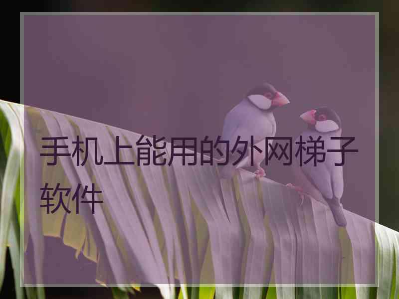 手机上能用的外网梯子软件