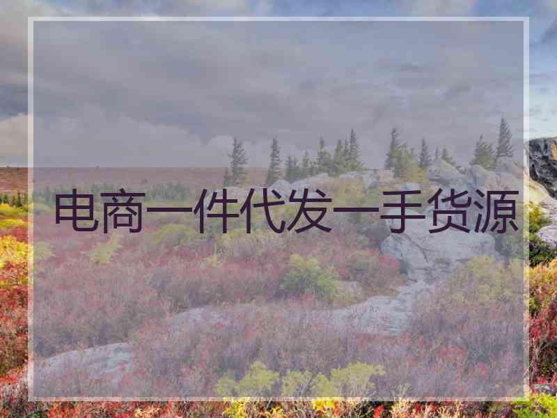 电商一件代发一手货源