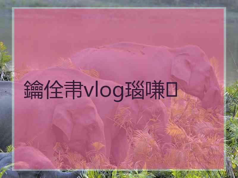 鑰佺帇vlog瑙嗛