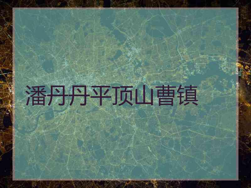 潘丹丹平顶山曹镇