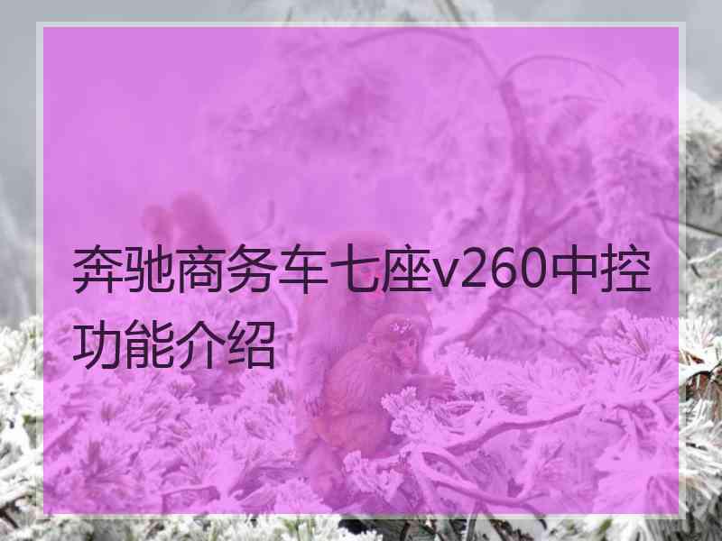 奔驰商务车七座v260中控功能介绍