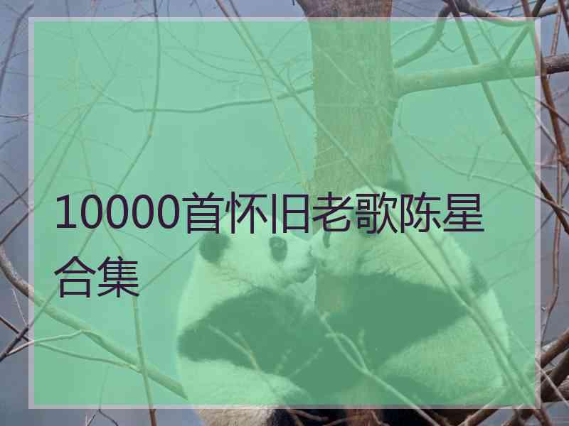 10000首怀旧老歌陈星合集