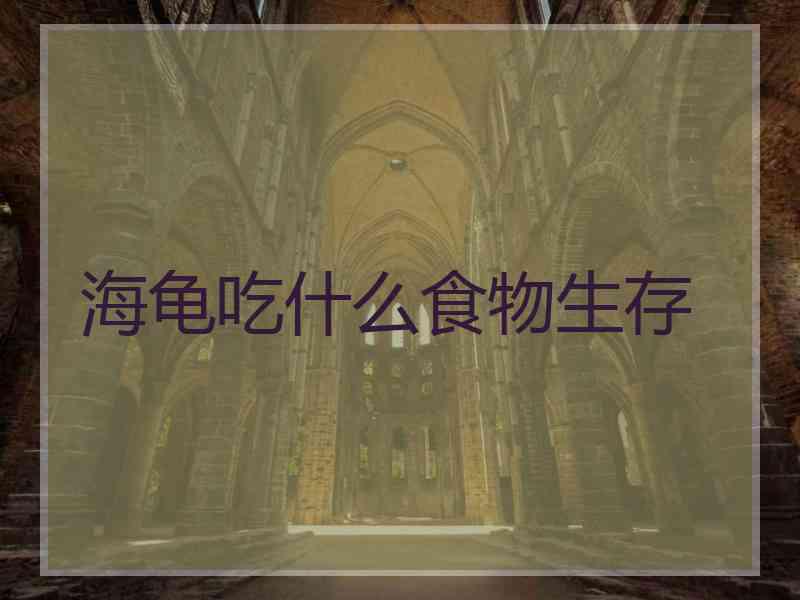海龟吃什么食物生存