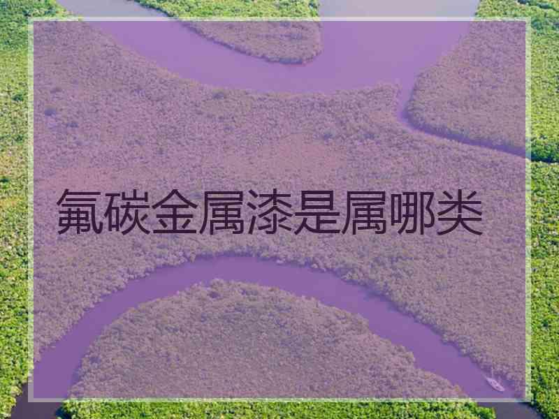 氟碳金属漆是属哪类