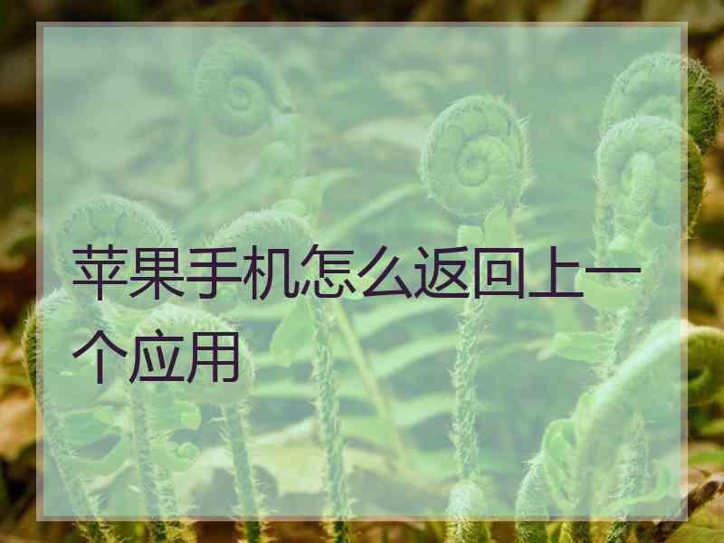 苹果手机怎么返回上一个应用