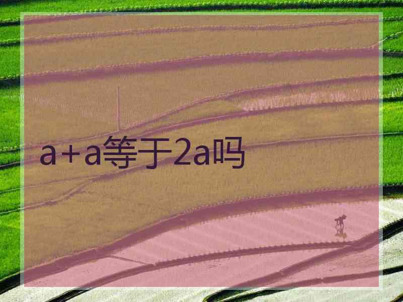 a+a等于2a吗