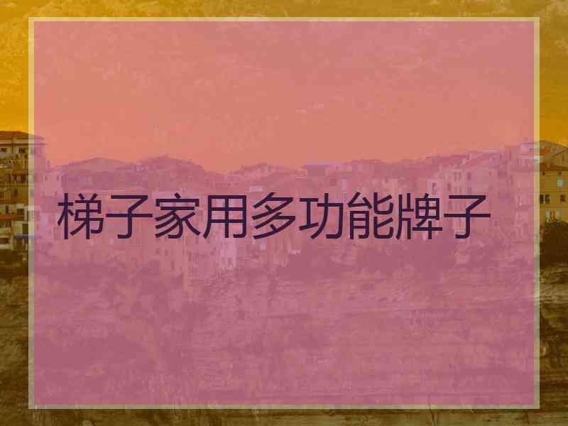 梯子家用多功能牌子