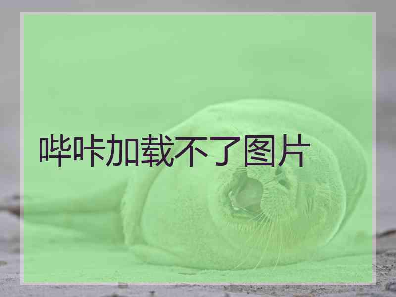 哔咔加载不了图片