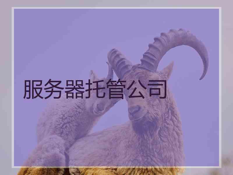服务器托管公司