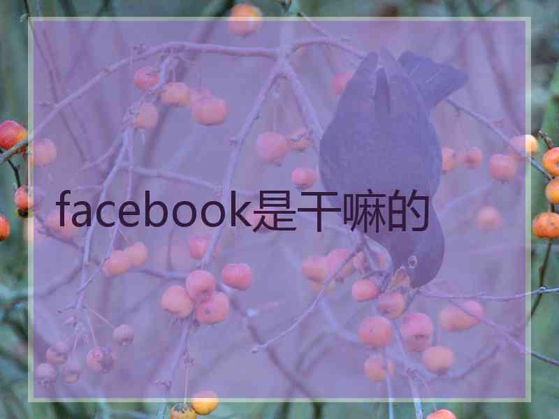facebook是干嘛的
