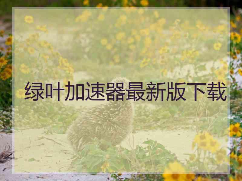 绿叶加速器最新版下载
