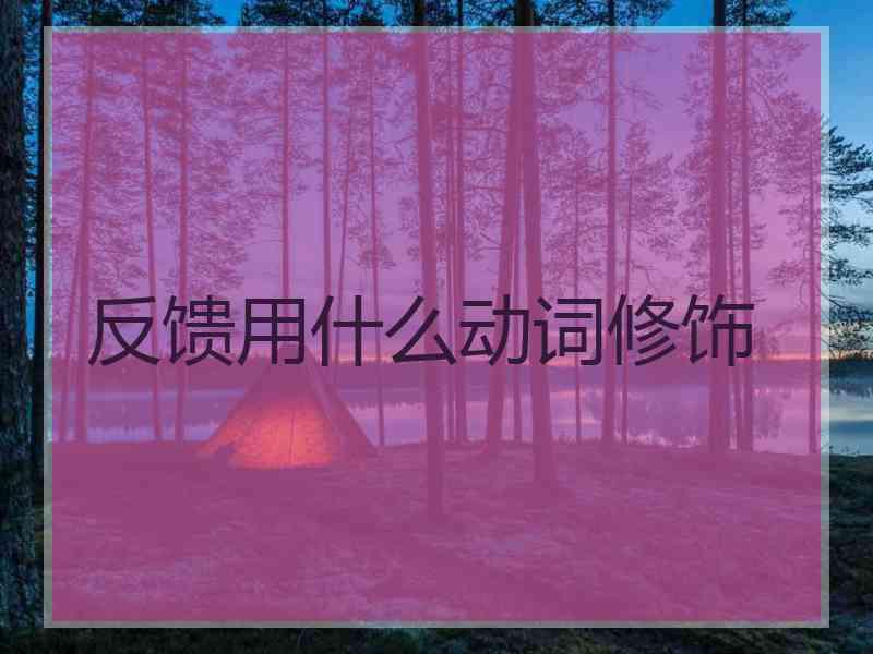 反馈用什么动词修饰