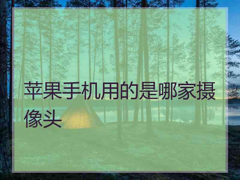 苹果手机用的是哪家摄像头