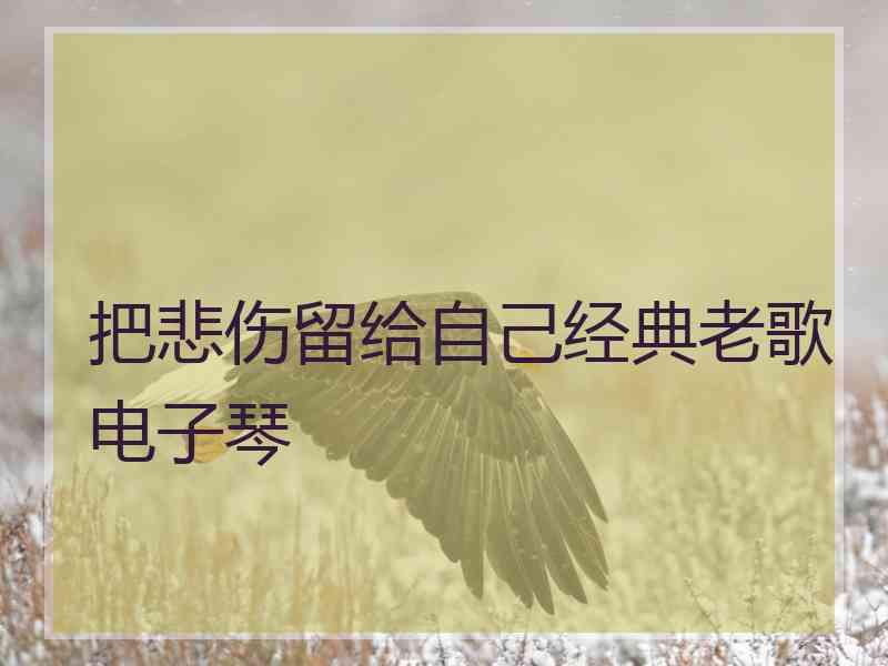 把悲伤留给自己经典老歌电子琴
