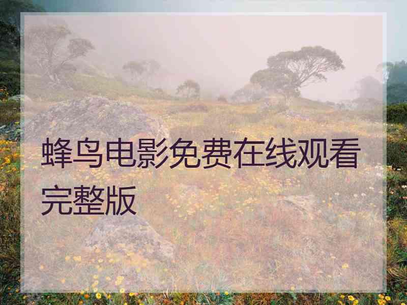 蜂鸟电影免费在线观看完整版