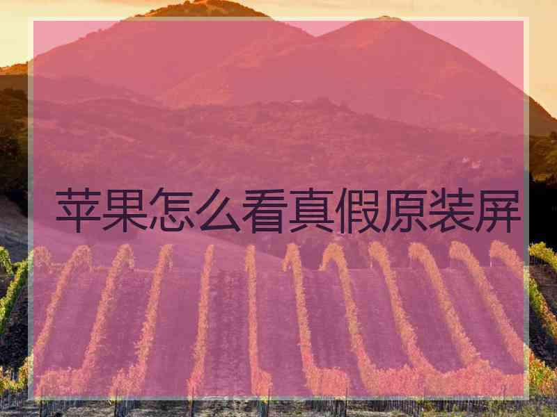 苹果怎么看真假原装屏