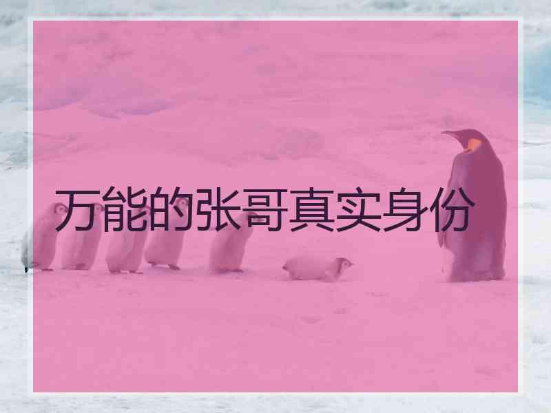 万能的张哥真实身份