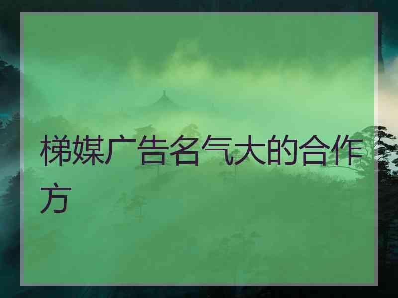 梯媒广告名气大的合作方