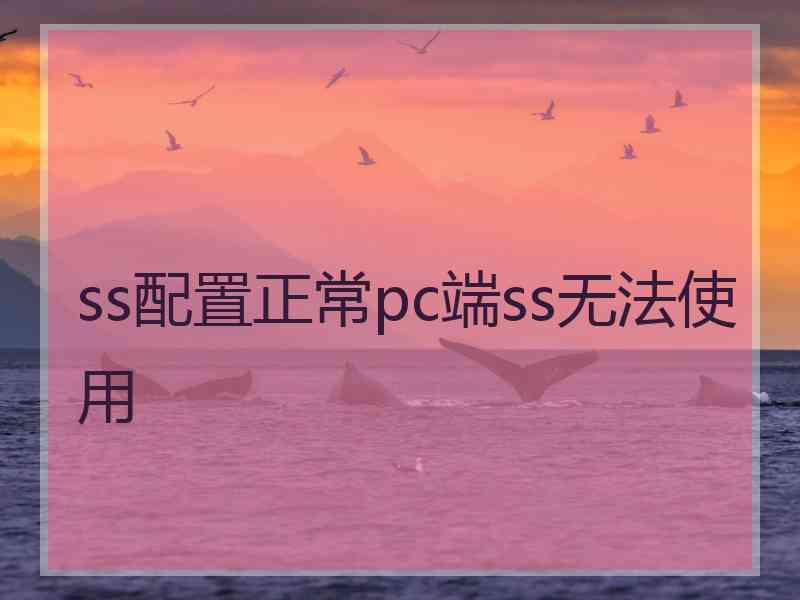 ss配置正常pc端ss无法使用