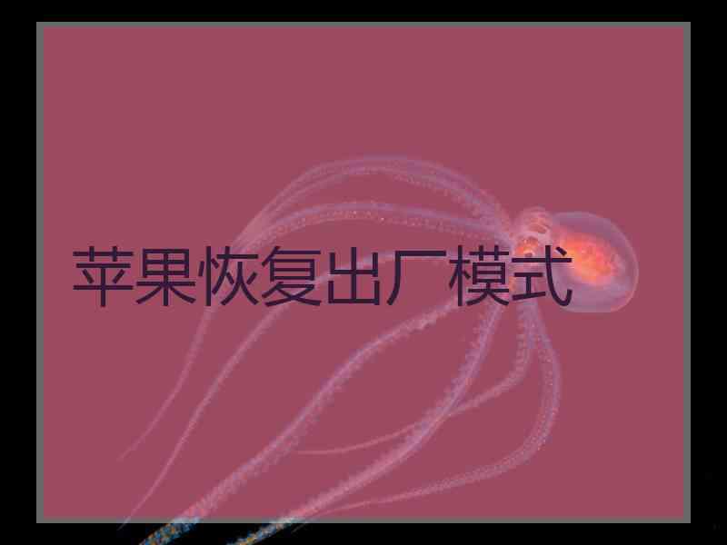 苹果恢复出厂模式