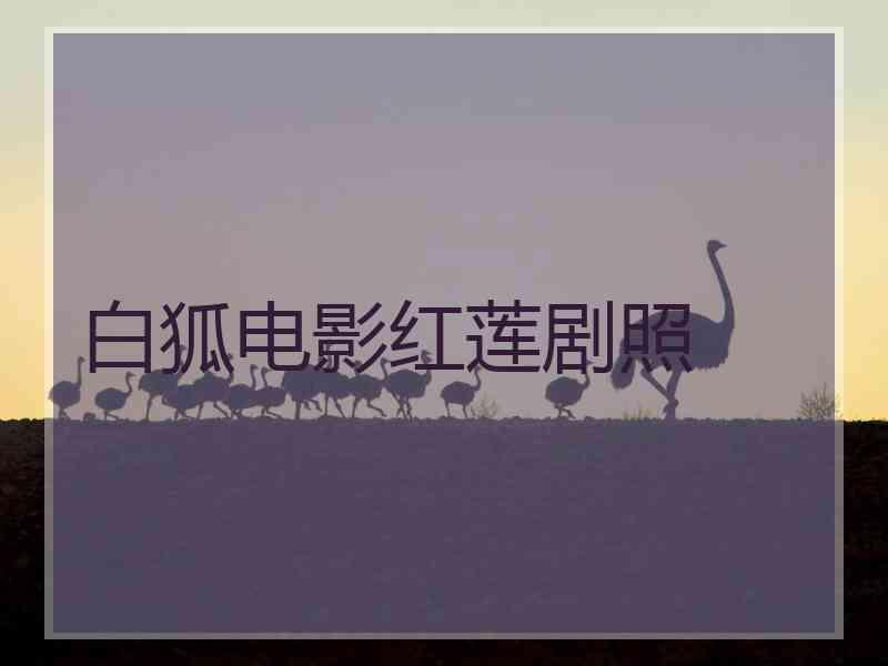 白狐电影红莲剧照