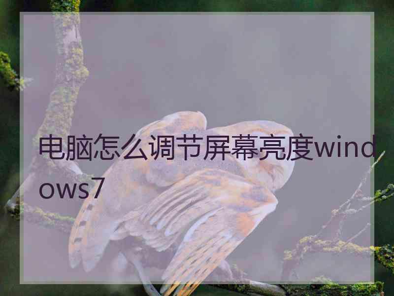 电脑怎么调节屏幕亮度windows7