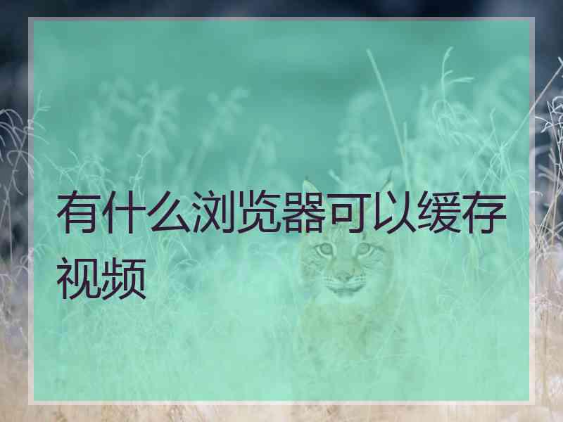 有什么浏览器可以缓存视频