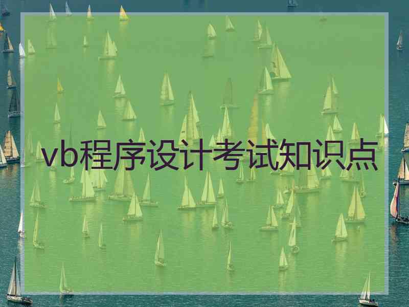 vb程序设计考试知识点