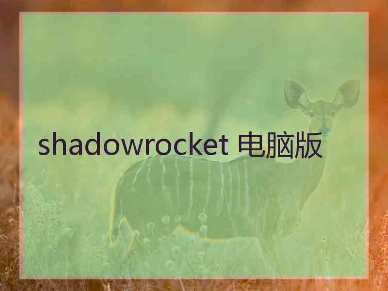 shadowrocket 电脑版