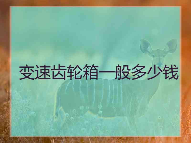 变速齿轮箱一般多少钱