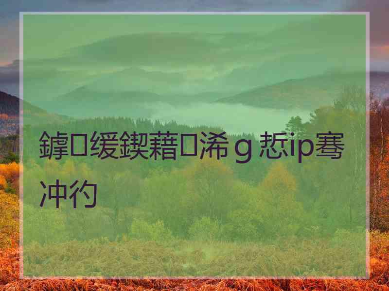 鎼缓鍥藉浠ｇ悊ip骞冲彴