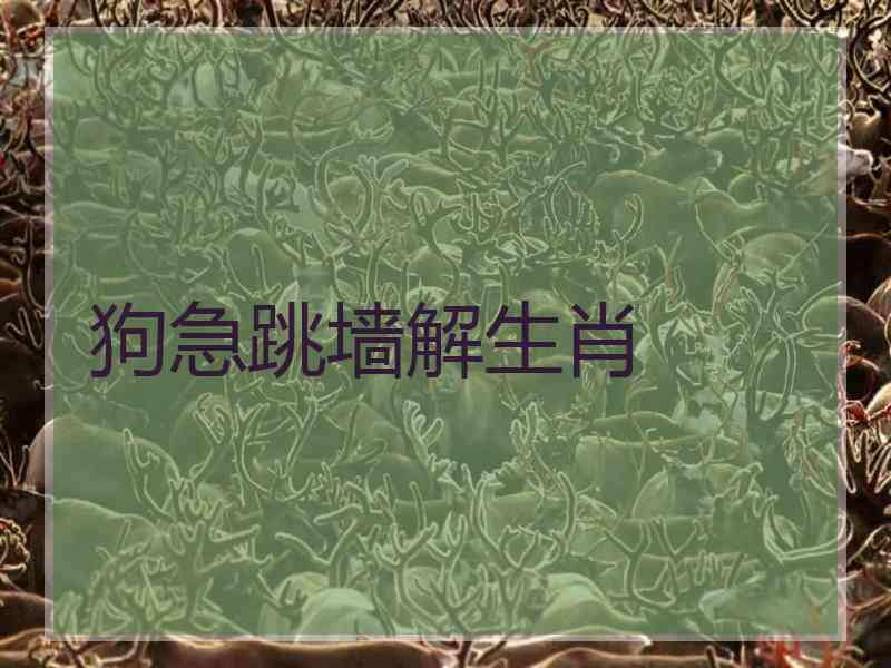 狗急跳墙解生肖