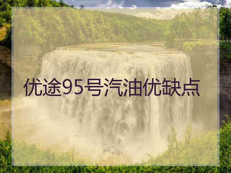 优途95号汽油优缺点