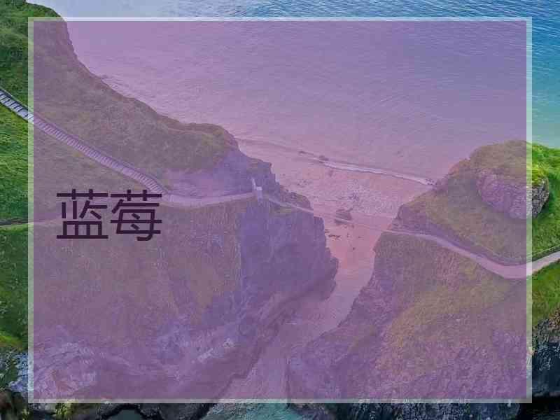 蓝莓