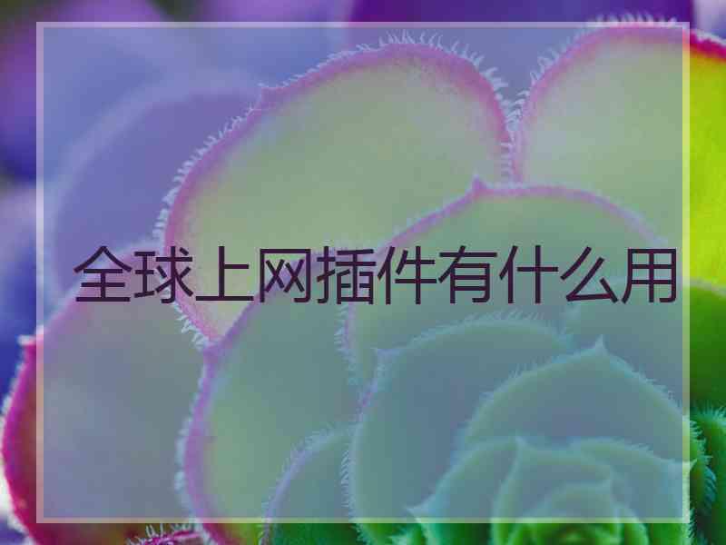 全球上网插件有什么用