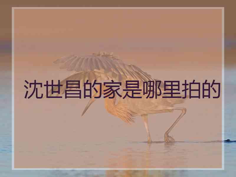 沈世昌的家是哪里拍的